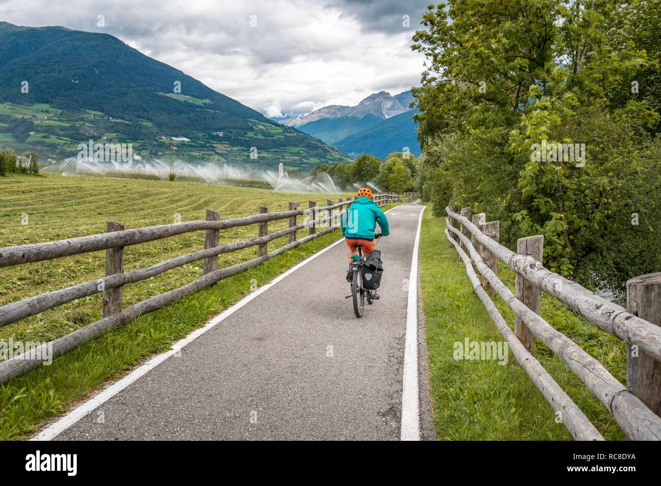 Ciclista con mountain bike, sul percorso ciclabile Via Claudia Augusta, di attraversamento delle Alpi, Caldaro, Trentino, Alto Adige, Italia Foto Stock
