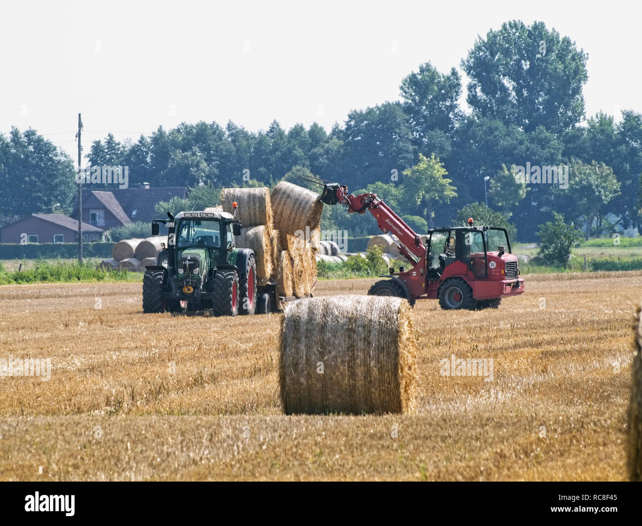 Il prelievo di balle di paglia da un campo di stoppie in Bassa Sassonia vicino Barum, Elbmarsch, Germania. Foto Stock