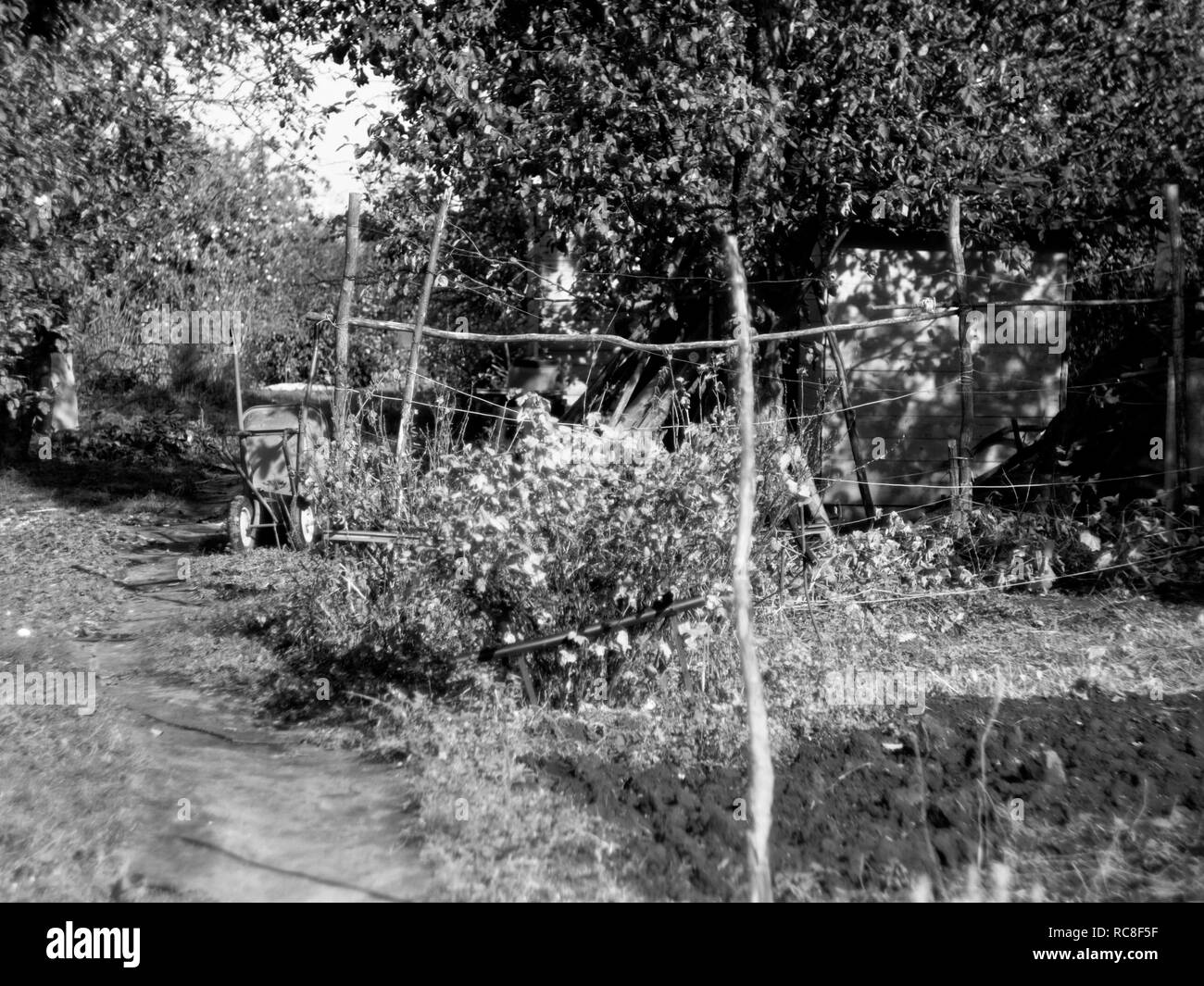 Orto e giardino di villaggio in autunno, foto in bianco e nero Foto Stock