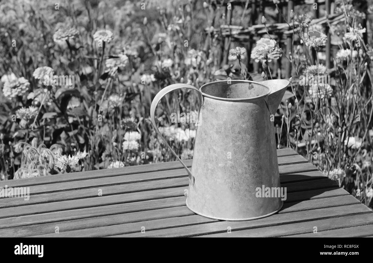 Vuoto brocca in metallo sorge su di un tavolo di legno in estate il giardino fiorito con zinnias e cornflowers in background - elaborazione monocromatica Foto Stock
