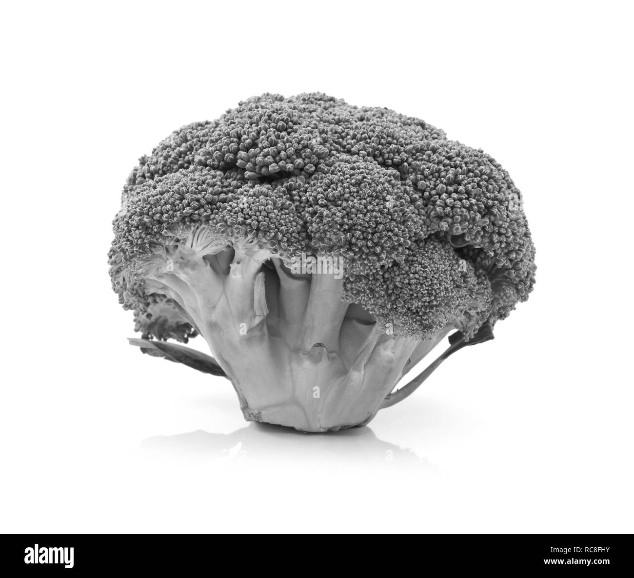 Testa di fresca calabrese di broccoli in posizione verticale mostra singole broccoli e stocchi su uno sfondo bianco - elaborazione monocromatica Foto Stock