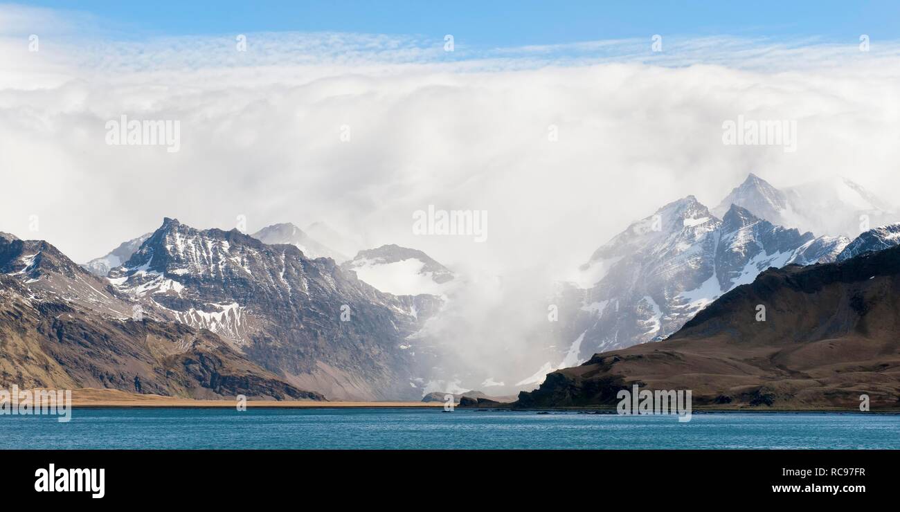 Il re Edoardo Cove, Grytviken, Cumberland Bay, Georgia del Sud Antartide Foto Stock