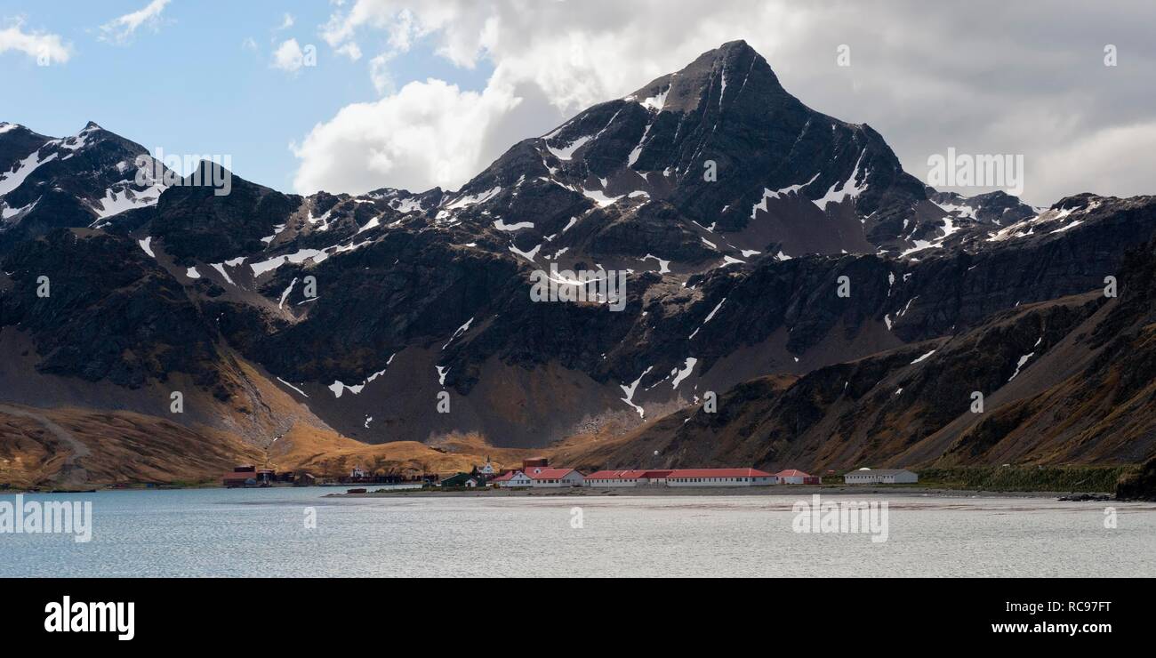 Il re Edoardo Cove, Grytviken, Cumberland Bay, Georgia del Sud Antartide Foto Stock