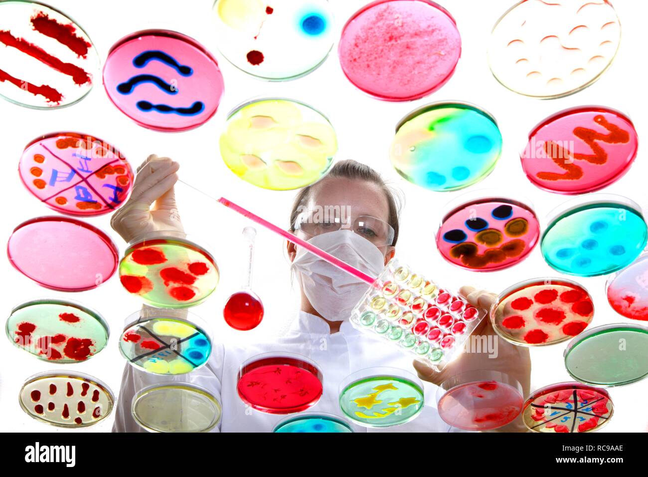 Analisi di colture batteriche, batteri che crescono in capsule di petri Foto Stock