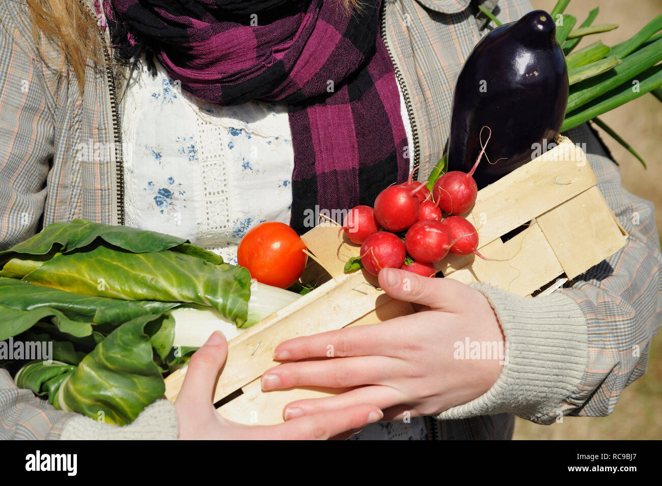 Junge Frau mit Gemüsekorb im Arm - junges Gemüse | Giovane Donna con cesto di vegetali Foto Stock
