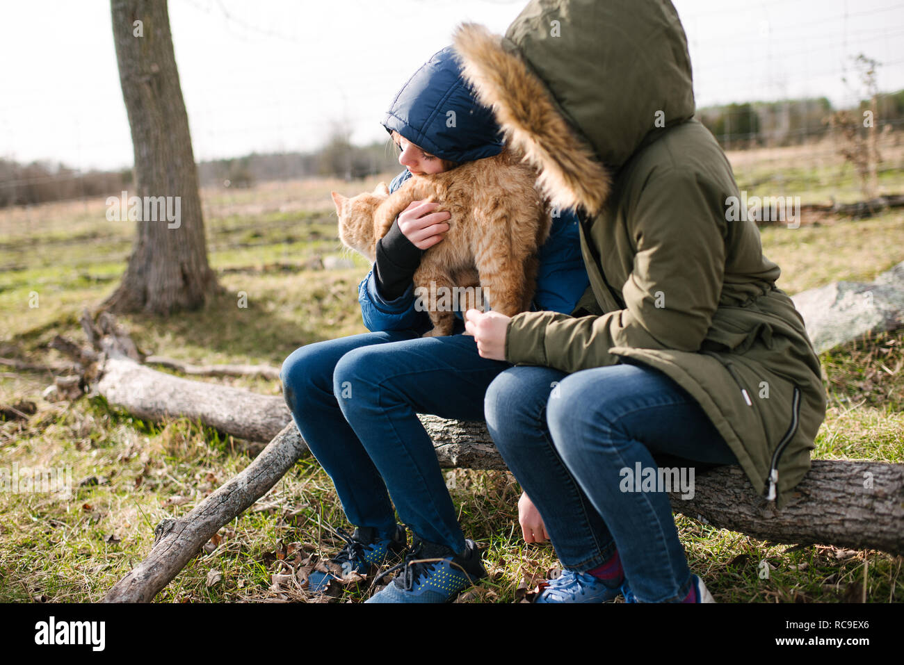 Fratello e Sorella di coccole gatto nel campo Foto Stock