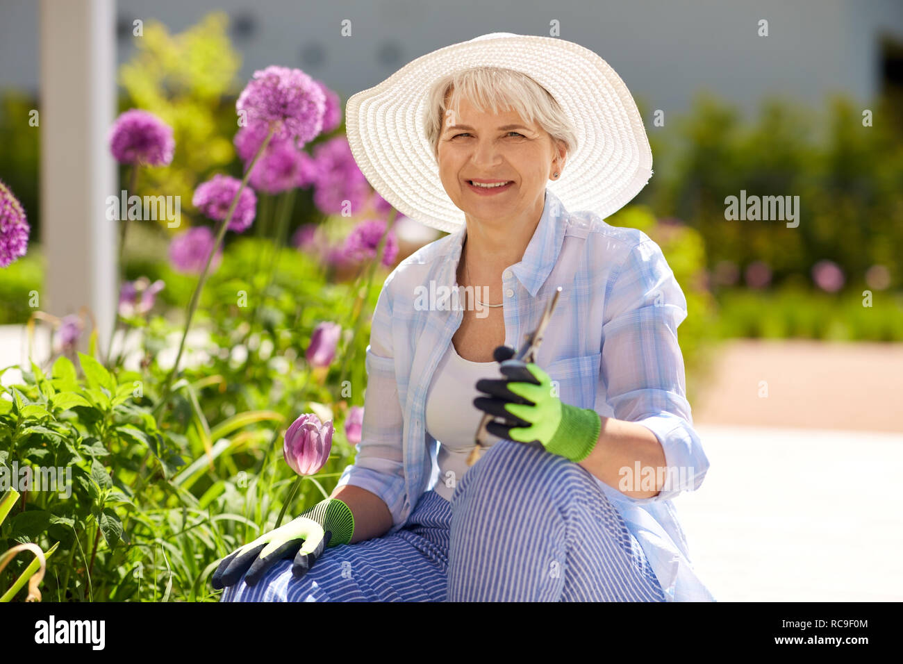 Donna senior con giardino potatore e fiori Foto Stock Donna senior con giardino potatore e fiori Foto Stock
