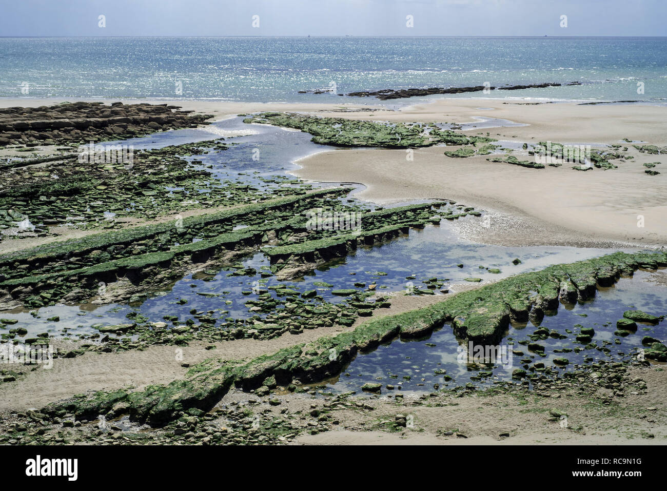 Jurassic strati rocciosi esposti a bassa marea sulla spiaggia a Ambleteuse roccioso lungo la costa del Mare del Nord, Côte d'Opale / Opal Coast, Francia Foto Stock