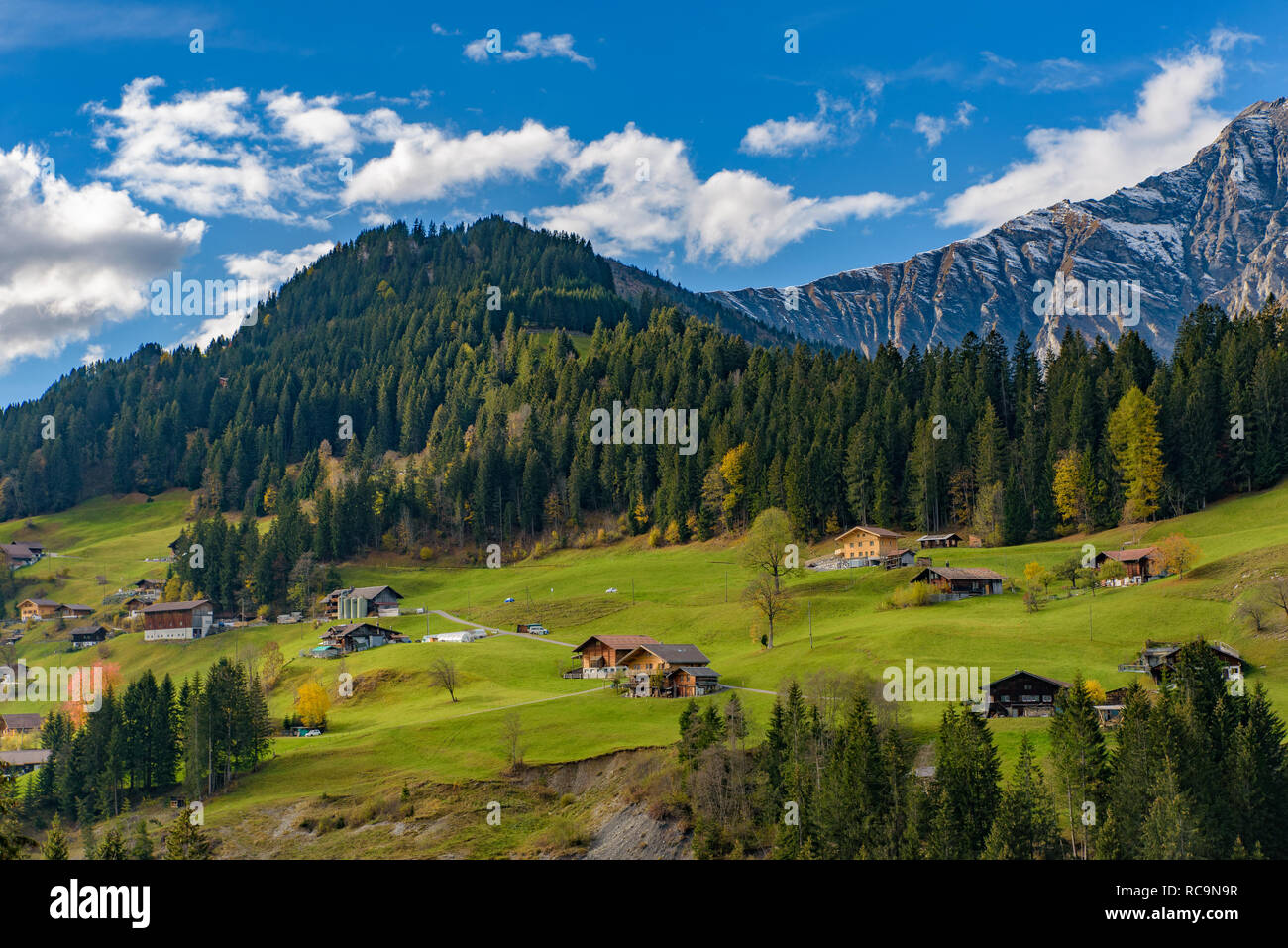 Tradizionale stile Svizzero case sulle verdi colline con la foresta nella zona delle Alpi della Svizzera, Europa Foto Stock