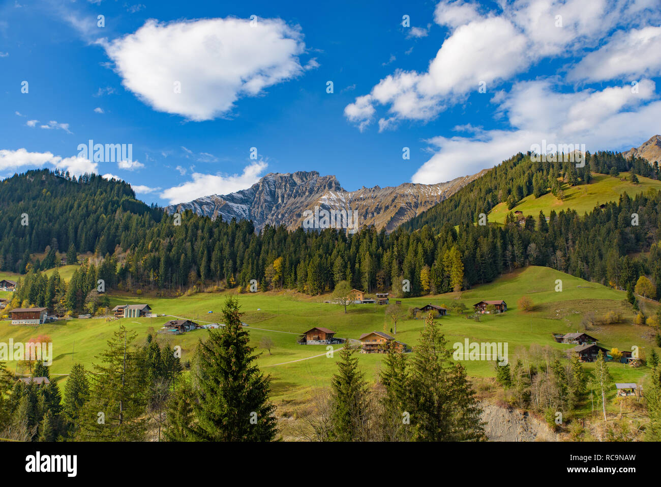 Tradizionale stile Svizzero case sulle verdi colline con la foresta nella zona delle Alpi della Svizzera, Europa Foto Stock