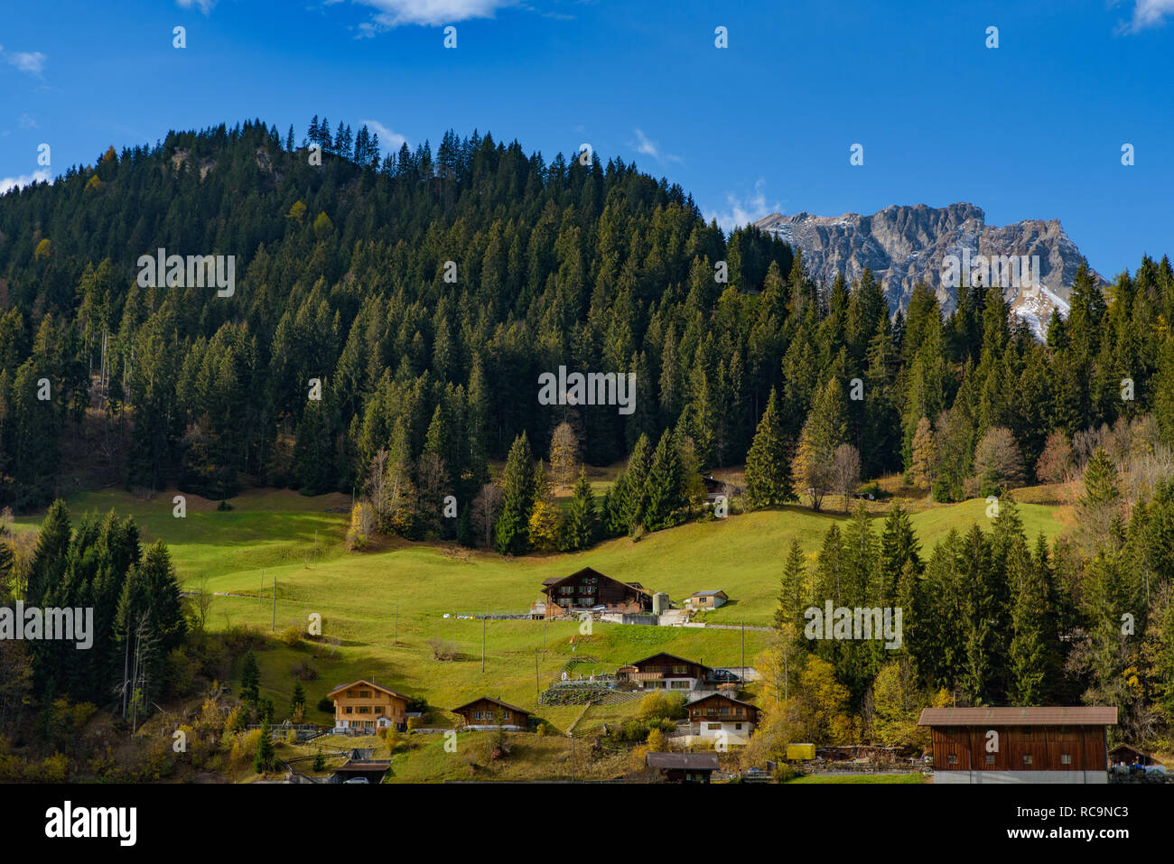 Tradizionale stile Svizzero case sulle verdi colline con la foresta nella zona delle Alpi della Svizzera, Europa Foto Stock