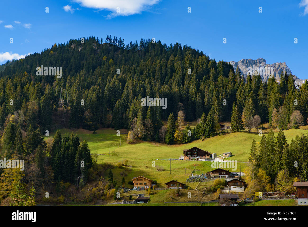 Tradizionale stile Svizzero case sulle verdi colline con la foresta nella zona delle Alpi della Svizzera, Europa Foto Stock