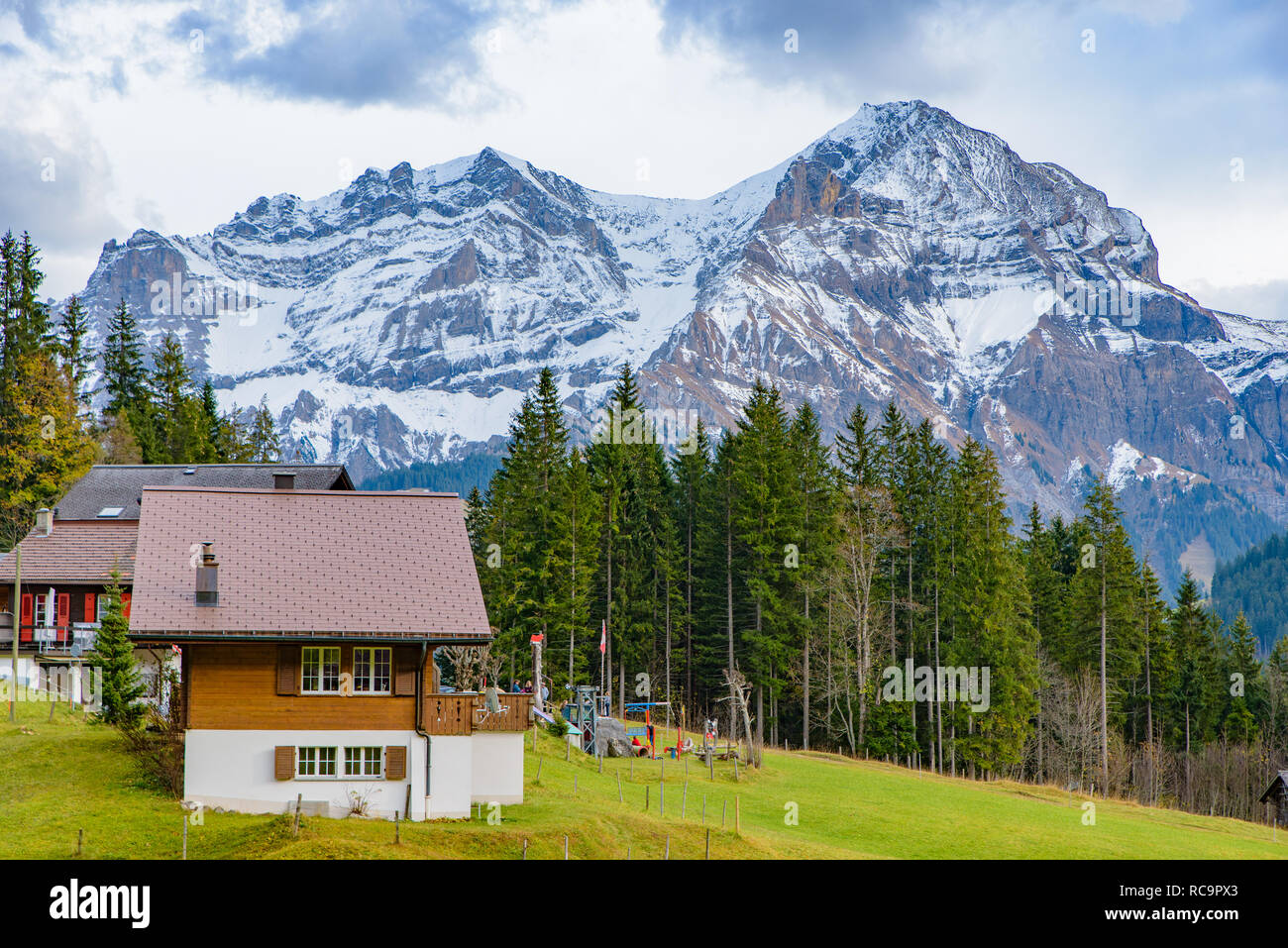 Tradizionale stile Svizzero case sulle verdi colline con la foresta nella zona delle Alpi della Svizzera, Europa Foto Stock