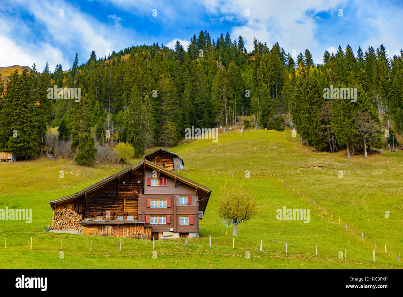 Tradizionale stile Svizzero case sulle verdi colline con la foresta nella zona delle Alpi della Svizzera, Europa Foto Stock