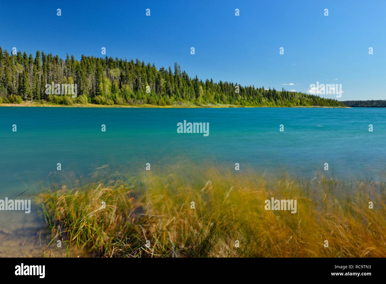 Pine Lake, Parco Nazionale Wood Buffalo, Alberta, Canada Foto Stock