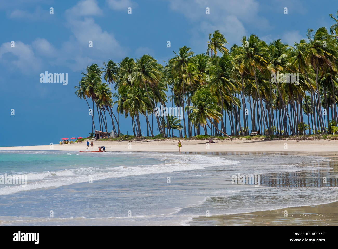 Spiagge del Brasile - Carneiros Beach, Tamandare - stato di Pernambuco Foto Stock