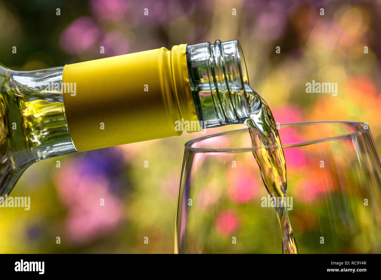 Bottiglia di vino bianco che si versa in un bicchiere di vino all'aperto in un giardino floreale Foto Stock