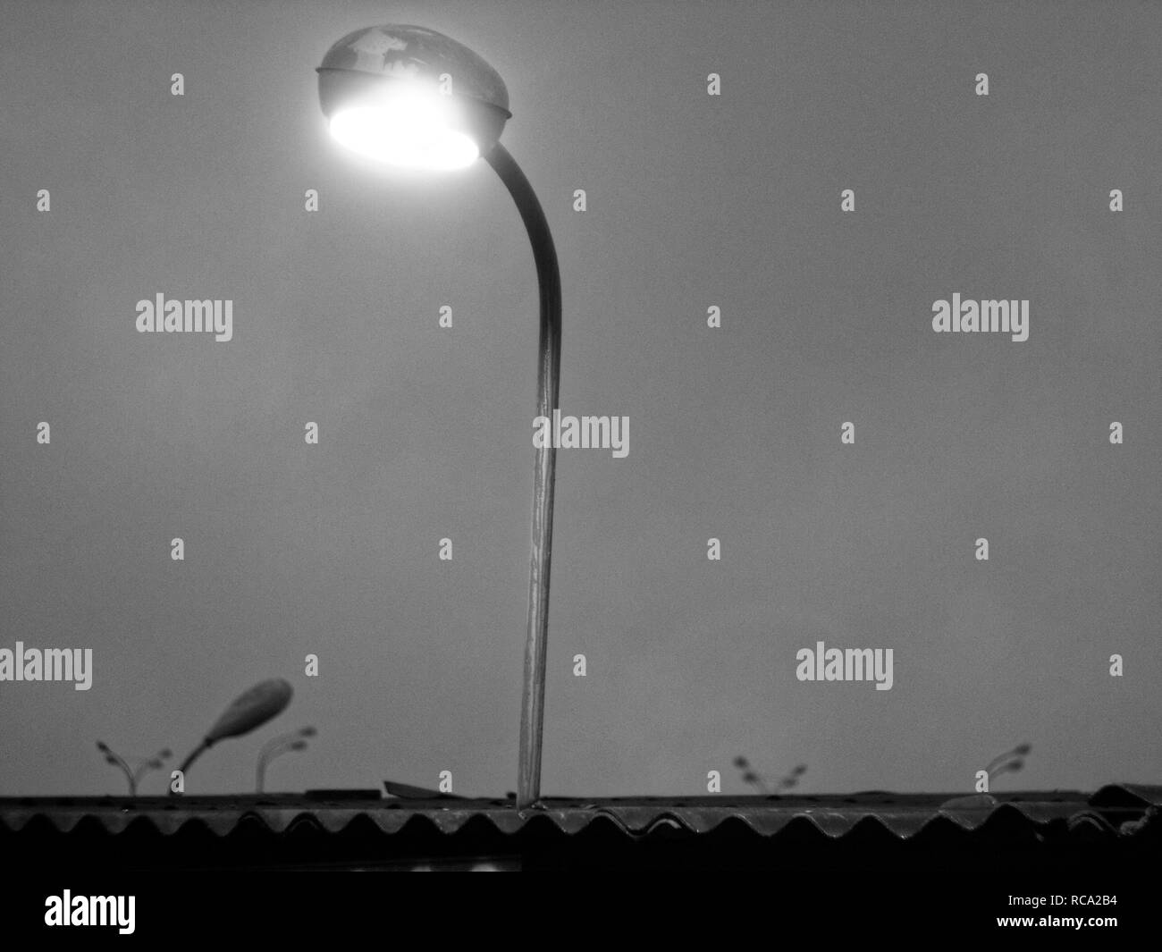 Strada lampada di illuminazione in serata a Mosca, foto in bianco e nero Foto Stock