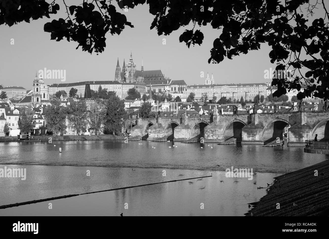 Praga - Il Ponte Carlo, il castello e la Cattedrale withe sul fiume Moldava. Foto Stock
