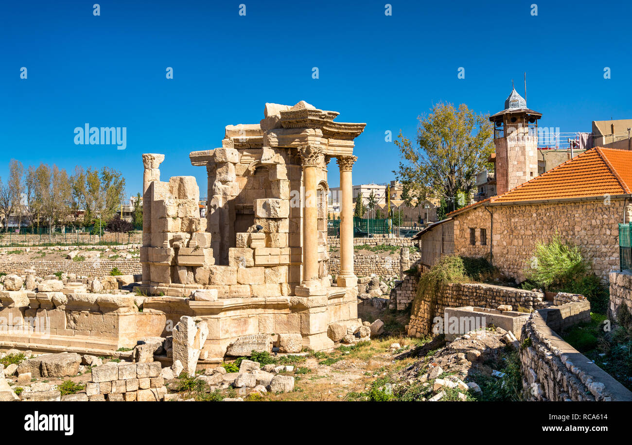 Il Tempio di Venere a Baalbek, Libano Foto Stock