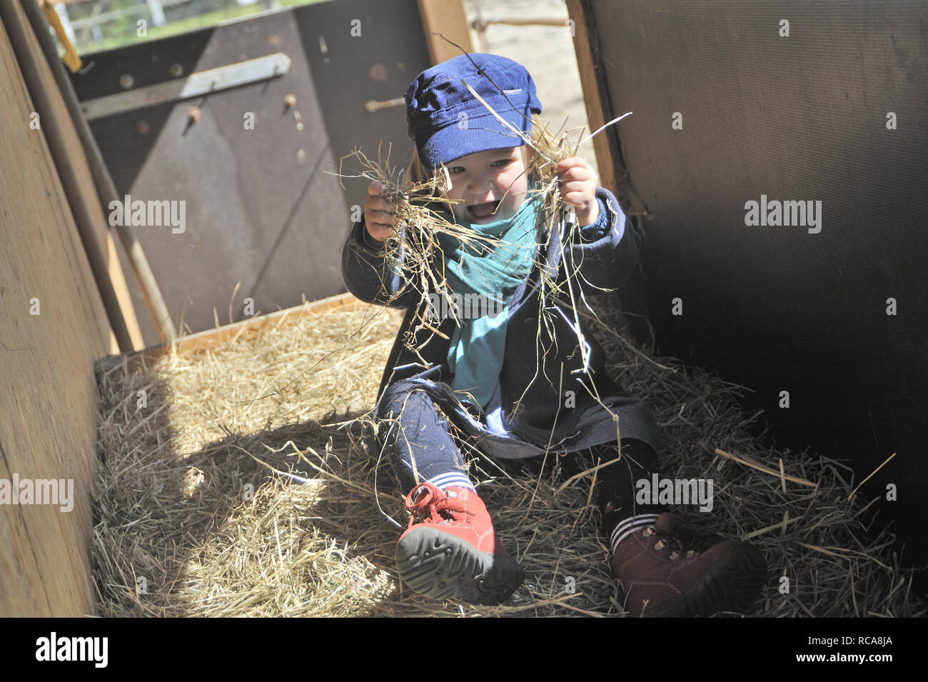 Tipo spielt im Stroh | bambino gioca in paglia Foto Stock