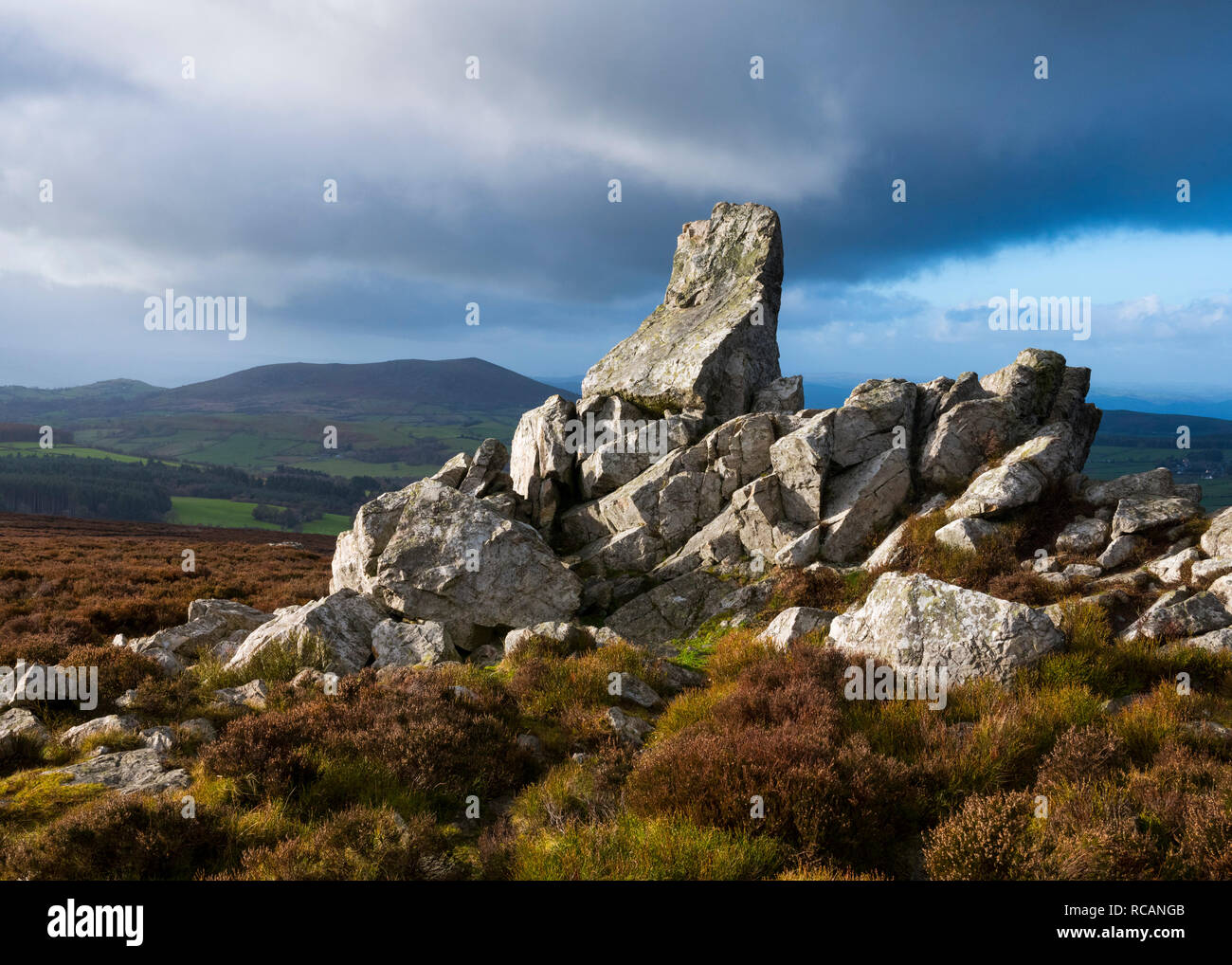 Diamond Rock sulla Stiperstones, Shropshire, con Corndon Hill, Powys. Foto Stock