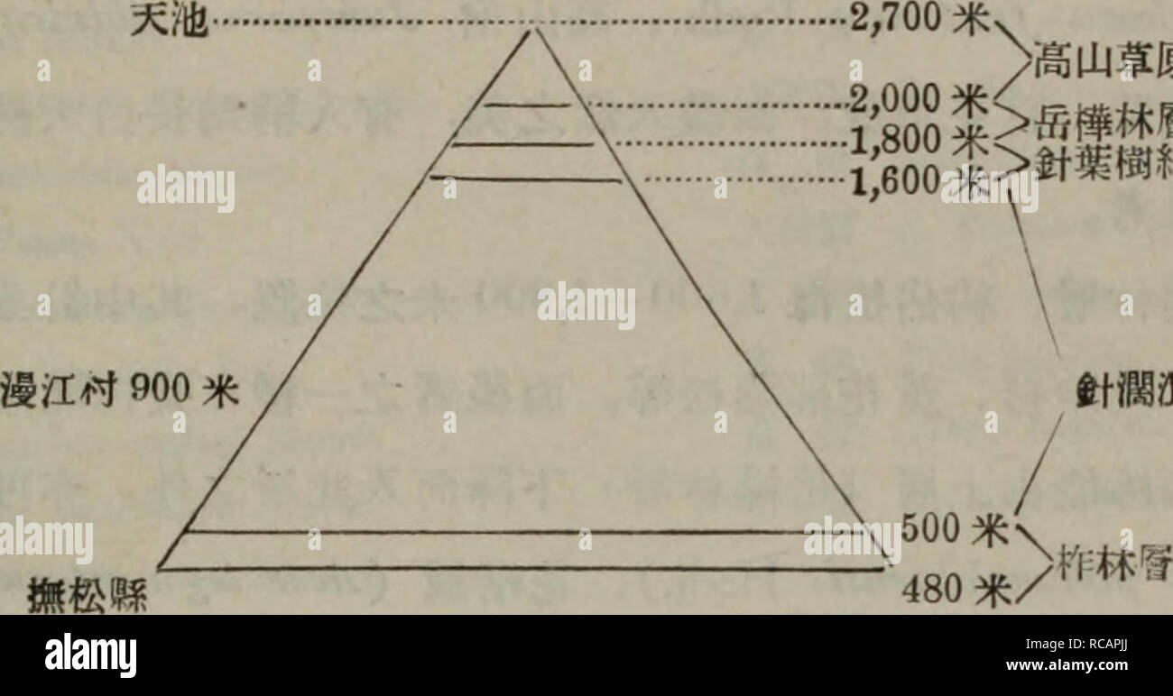 . Dong bei mu ben zhi wu tu zhi. botanica. .Ae±åae¥ ç©çåä½ ç"2400 ç±³ï¼å ¶å¨åå±±å³¯é"éaeaeµ·2ï¼743ç±³ï¼ç²å ¨ae±åçae)å±±å³¯ãae-¤å±±ç±ä'è ä'çae£®aeåç'åä½ï¼ä"¥çç½å±±è¥¿å¡ç²ä'"ï¼ç'"Jåä'åäºå±¤ï¼H^å2), (1) é"å±±èåå'¶ï¼ç±çµ]Hèä'è³aeaeµ·2ï¼000ç±³å·¦å³ç²åãå¨ae-¤ä'å °å'¶ï¼ae°£å èå¯ï¼é¢¨åå·¨å¤§ï¼ae¨¹ae¨å·²ä'è½çé·ï¼çae¨éå¤ï¼ä½çåèae¬çae ï¼ç¬å °aeä¼å°ç é·ï¼èå ¶ä'"È ä"£ è¡¨ï¼åaeIH1èae³(SaUx rotundifolia Trau.)ãçç®aef!g (^Rhodo- odendroji chryscmthum Pall.),å "ç£è®{Dryas octopetcda L.)åçé·ä½ç®çè¶ae© (Vacciniuni vitis-IDAM L.)&GT;ç¯¤ae¯è¶ae©(Voce, tdiginosum L.)ç-ãå ¨å¹'ae¤ç©çé· aeéï¼ä¼°è¨ä'éåMaeï¼å ¶çé·aeçaeaeç²ä'aeä'¬ae ã (2) ä'é¨ae¿¶èaeå±¤ï¼ae Foto Stock