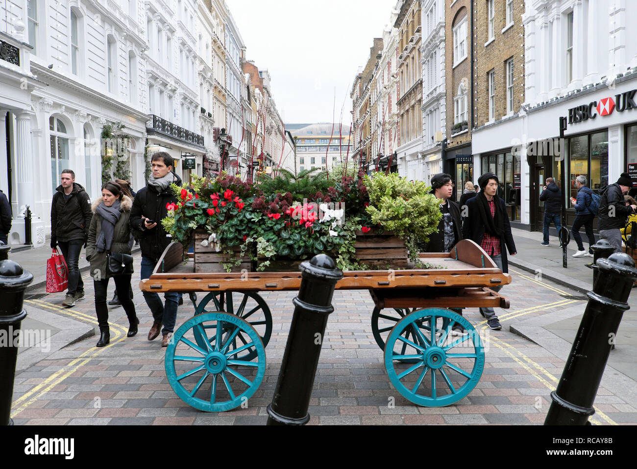 Mercato di Covent Garden carrello con display floreali di rosso ciclamino piante in fiore, hebes ed edera a Natale in London WC2 Inghilterra UK KATHY DEWITT Foto Stock