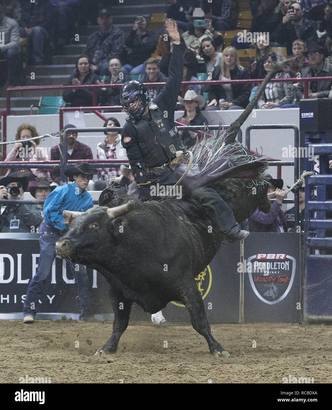 Denver, Colorado, Stati Uniti d'America. Xiv gen, 2019. Bull Rider CODY TESCH di Las Lunes, NM rides Humberto durante il 25th. Rodeo messicano presso il National Stock occidentale mostrano al Colosseo di Denver lunedì sera. Credito: Hector Acevedo/ZUMA filo/Alamy Live News Foto Stock