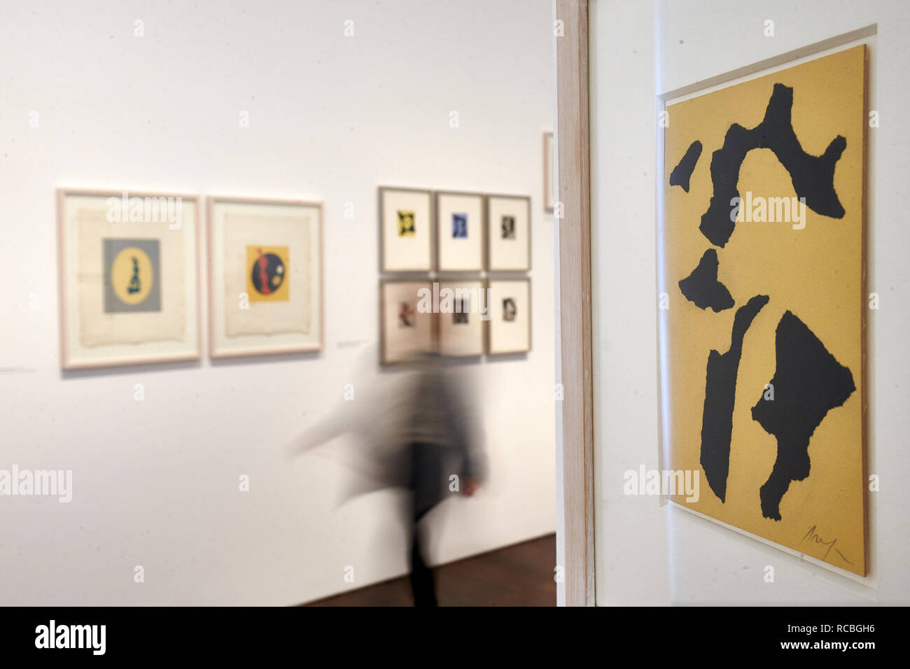 Remagen, Germania. 15 gennaio, 2019. Un visitatore a Arp-Museum Remagen-Rolandseck passa opere su carta da Hans Arp. IlTedesco-francese pittore e poeta Hans Arp ha anche ripetutamente affrontato con carta - ora il museo a lui intitolato a Remagen ha presentato un ampio catalogo di opere su carta. (A dpa 'Museum presenta il catalogo per Hans Arp di opere di carta di credito): Thomas Frey/dpa/Alamy Live News Foto Stock