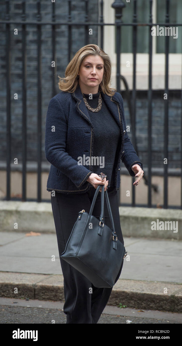 A Downing Street, Londra, Regno Unito. Il 15 gennaio 2019. Penny Mordaunt, Segretario di Stato per lo Sviluppo Internazionale, Sviluppo Internazionale Segretario lascia Downing Street dopo settimanale di riunione del gabinetto. Credito: Malcolm Park/Alamy Live News. Foto Stock