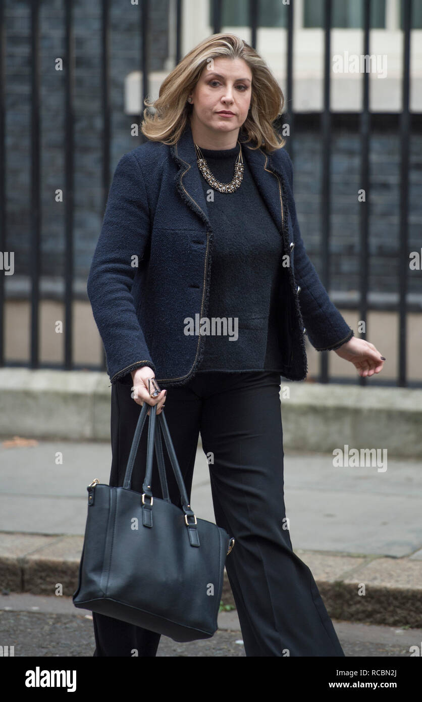 A Downing Street, Londra, Regno Unito. Il 15 gennaio 2019. Penny Mordaunt, Segretario di Stato per lo Sviluppo Internazionale, Sviluppo Internazionale Segretario lascia Downing Street dopo settimanale di riunione del gabinetto. Credito: Malcolm Park/Alamy Live News. Foto Stock
