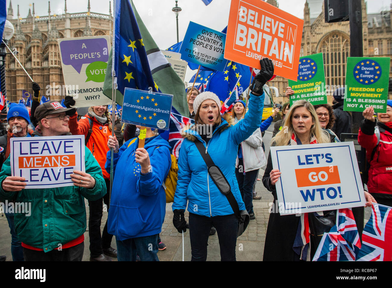 Londra, Regno Unito. Il 15 gennaio, 2019. Lasciare significa lasciare e SODEM, pro UE, i manifestanti continuano a fare i loro punti, affiancate al di fuori del Parlamento come il voto su Theresa Maggio del piano è dovuto il giorno successivo. Credito: Guy Bell/Alamy Live News Foto Stock