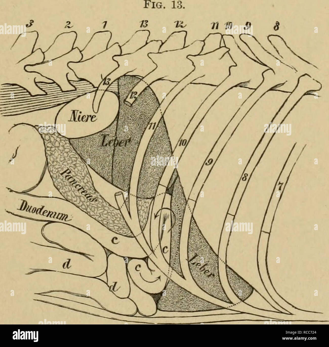 muco sanguinante nelle feci