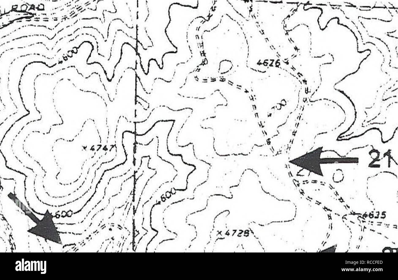 . La distribuzione, la relativa abbondanza, habitat e le associazioni di anfibi e rettili sulla montagna di Craig, Idaho. Anfibi e Rettili. Punto di Hoover, Idaho Lewis County 22-LS, PTm SFm. I m m.a, WG CG. H-LSe, PT, SFM WG "' '*i) 15nell?VsOLt&GT;"7/ / ' r^S * * 00^ t ^^ " 20 - LS.j PT, SFlja WG 9-LSeJ PT,,m SFeJJa WT, WG CG W 1 km LS = Long-toed Salamander WT = occidentale (boreale) Toad PT = Pacific Treefrog SF = Spotted Frog WG = Western terrestre serpente giarrettiera a = adulti(s) c = chiamando e = uova 1 = larve o girini m = metamorphs (anfibi) j = novellame figura 39. Ubicazione di stagni e t Foto Stock