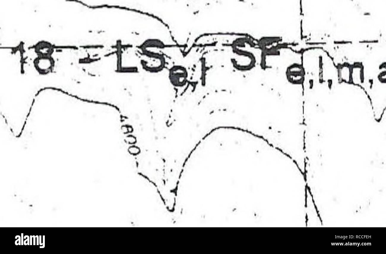 . La distribuzione, la relativa abbondanza, habitat e le associazioni di anfibi e rettili sulla montagna di Craig, Idaho. Anfibi e Rettili. /- A / 1-- B^S,,, S|^a wt, 7 " ^â "SgpSP^fT^ r" &lt;".. ; W,,, pt3 N W ^&gt; 1 km LS = Long-toed Salamander WT = occidentale (boreale) Toad PT = Pacific Treefrog SF = Rana maculato TG = Western Terrestrial Garter Snake CG= Common Garter Snake a = adulti(s) c = chiamando e = uova 1 = larve o girini m = metamorphs (anfibi) j = novellame figura 37. Ubicazione di stagni e gli anfibi e rettili dal 1994 e 1995 sondaggi mappa wa Foto Stock