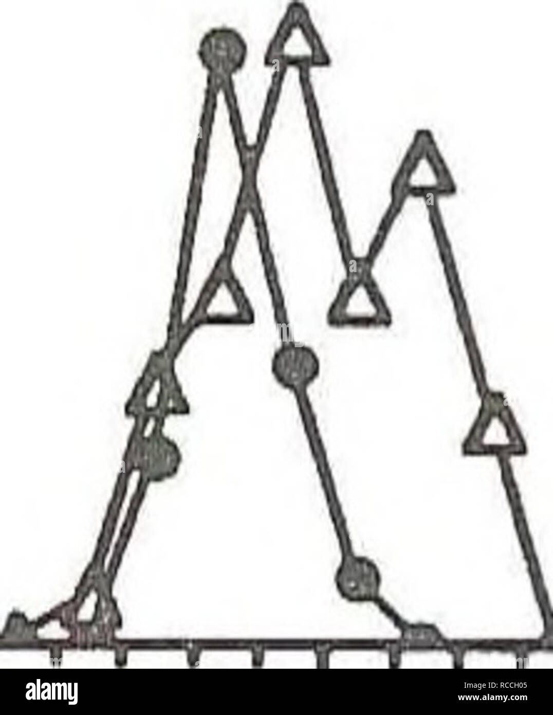 . Distribuzione e abbondanza di zooplancton e Mysis relicta nel lago Flathead. Mysis relicta; lo zooplancton. Io"Tâi r1^*! 10 15 20 25 15 sett. 1988 âoâ novellame âftâ femmine â¢â maschi i i i i I'rV'i i | i i &gt;- o CX CD 60 50 40 H 30 20 10 0 o-â novellame â ãˆâ femmine â â¢â maschi JO*** I "*â I I | IâI adattano' "lPr"f. 17 ott. 1988 Bâ novellame âAâ femmine â¢â maschi 15 10- 5- 0 0 â I '"' â "â ¢ I Â" ' " ' 10 15 20 25 30 0 â / x 25 dimensioni (mm) 20 I 15 CD 3 ex 0) 9 nov. 1988 -ftâ femmine -â¢â maschi ID- S' Ak 10 30. Si prega di notare che queste immagini sono estratte dal Foto Stock