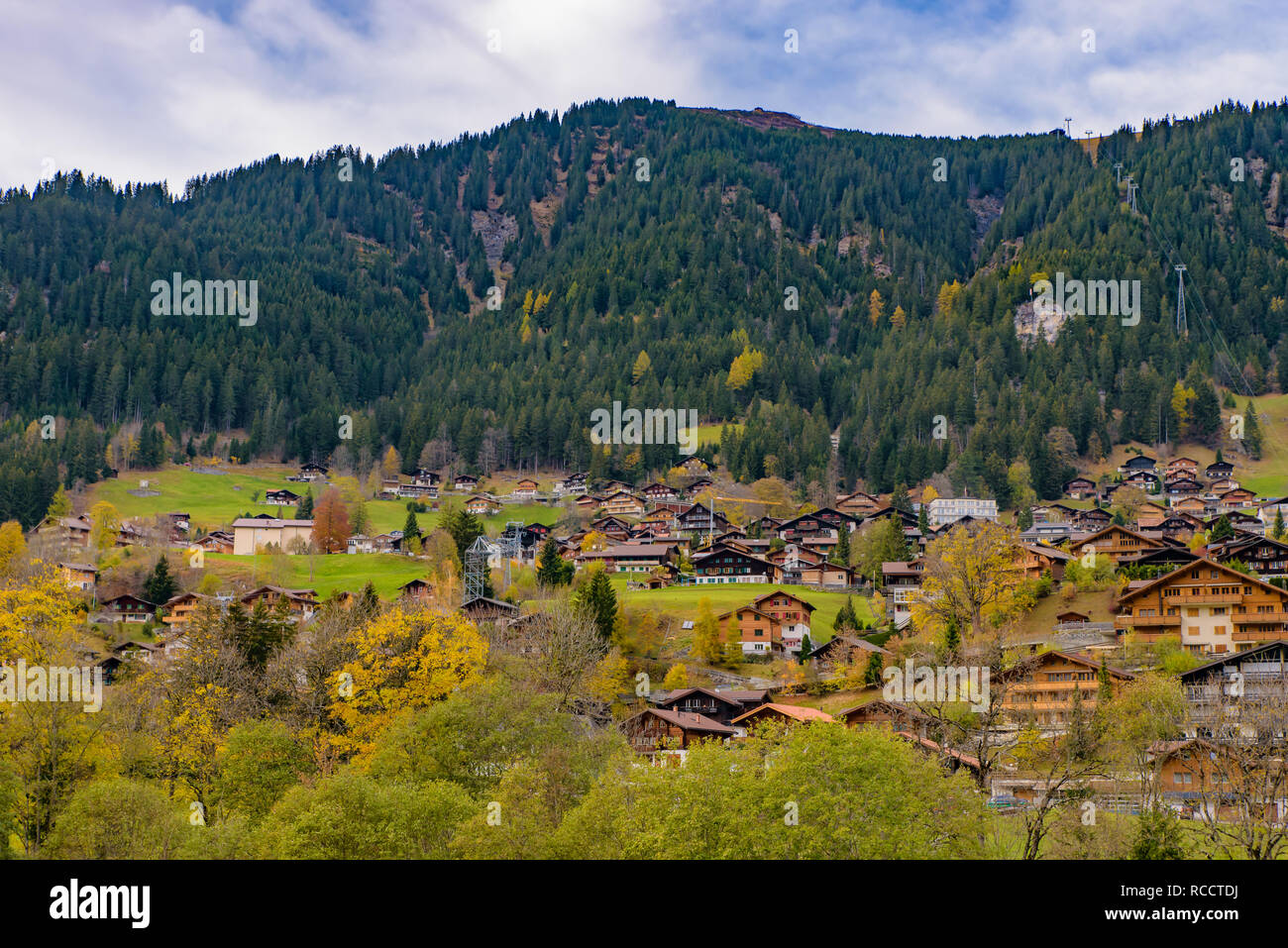 Tradizionale stile Svizzero case sulle verdi colline con la foresta nella zona delle Alpi della Svizzera, Europa Foto Stock