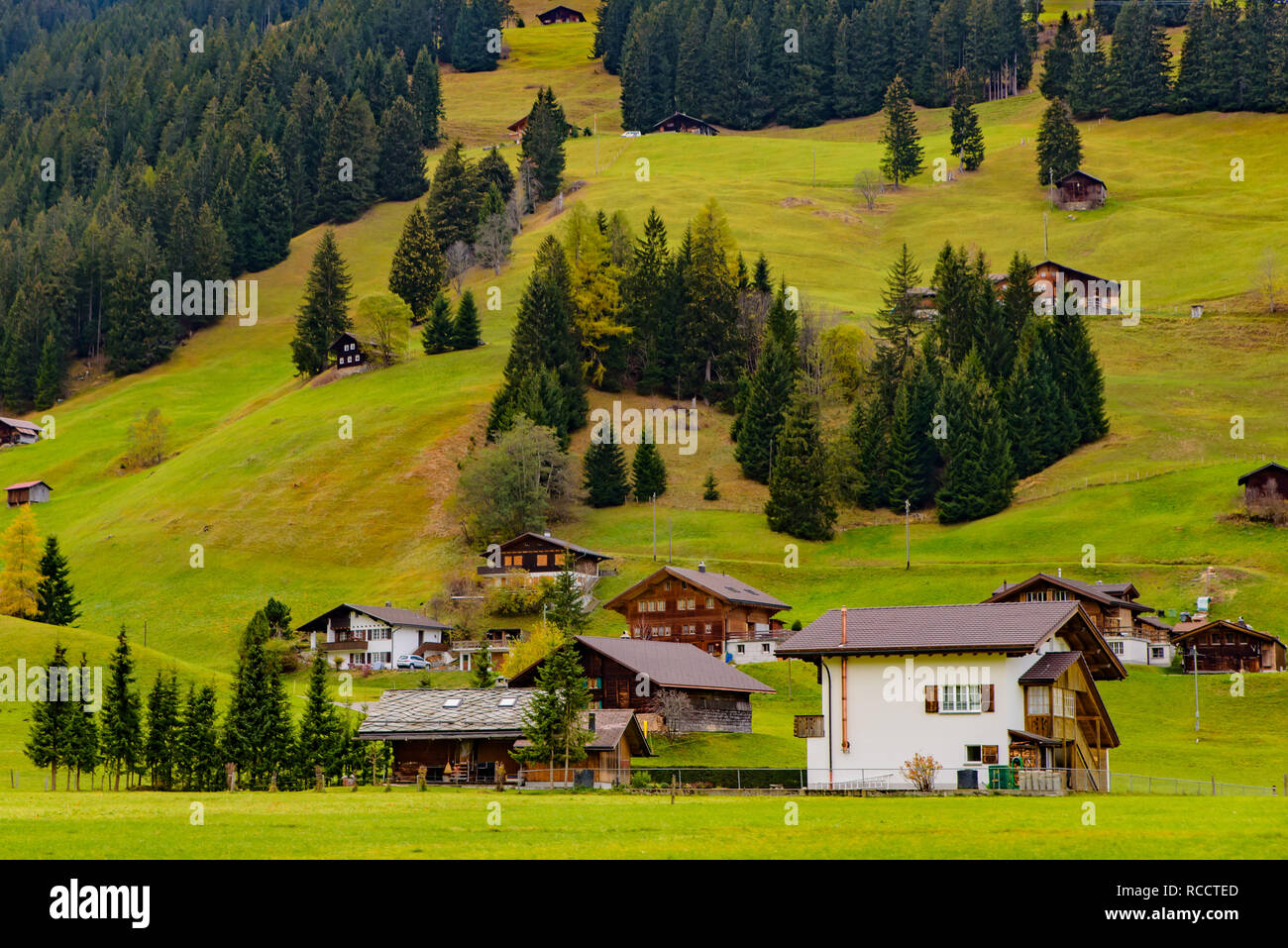 Tradizionale stile Svizzero case sulle verdi colline con la foresta nella zona delle Alpi della Svizzera, Europa Foto Stock