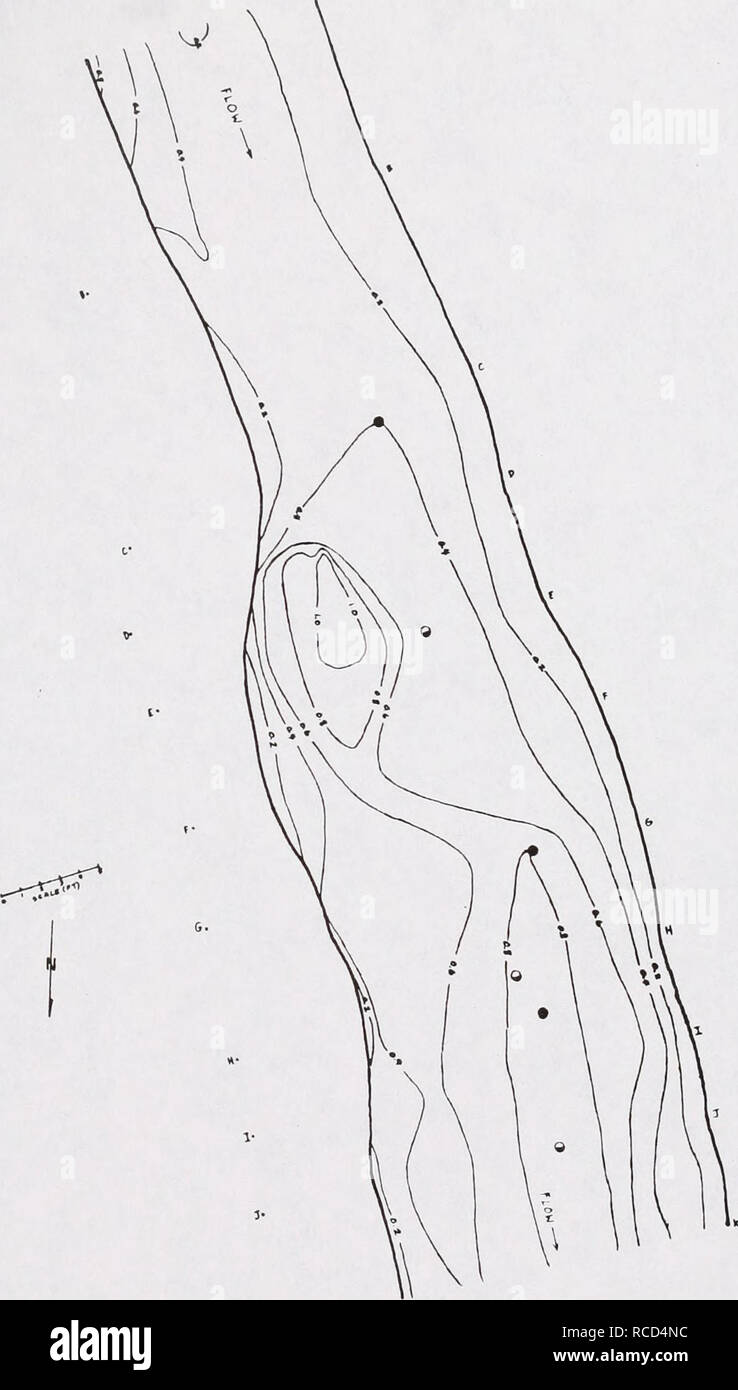 . La distribuzione, la relativa abbondanza di habitat e di utilizzo dell'artico temolo (Thymallus arcticus) in alto Grande Fiume Foro di drenaggio, Montana : 5 Luglio al 8 settembre 1988. Arctic grayling. ". Pagina 34 figura 9. Profondità (ft) isopleths per intensive-utilizzare la zona "A" su Swamp Creek. Cerchi pieni e semi-cerchi pieni indicano i siti di cattura per la tendenziale Arctic grayling dalla prima e dalla seconda electrofishing sondaggi, rispettivamente. Le lettere lungo streambanks indicano l'orientamento di seca e lettere seguita da un periodo di indicare il punto esatto da cui le misurazioni secare iniziato Foto Stock