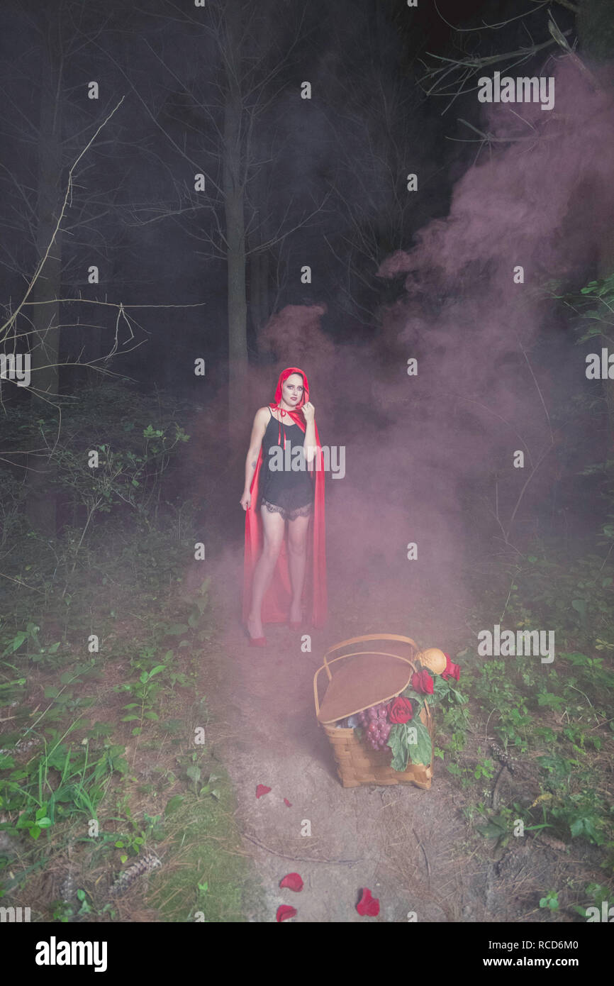 Fiaba immagine con il fumo in foresta Foto Stock