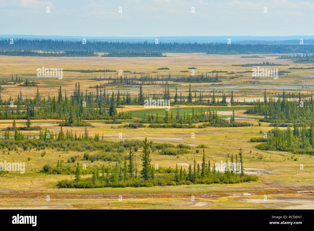 Pianure di sale si affacciano, Parco Nazionale Wood Buffalo, Alberta, Canada Foto Stock