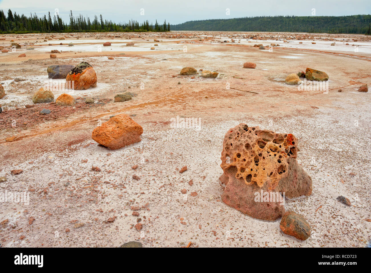 Le saline al Lago Grosbeak- con sale inciso-massi erratici, Parco Nazionale Wood Buffalo, Albert, Canada Foto Stock