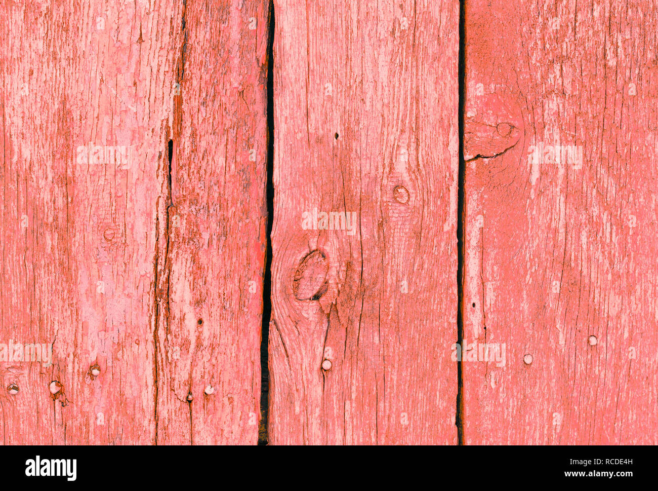 Sullo sfondo di un vecchio coralboards, con vernice squallido, con chiodi Foto Stock