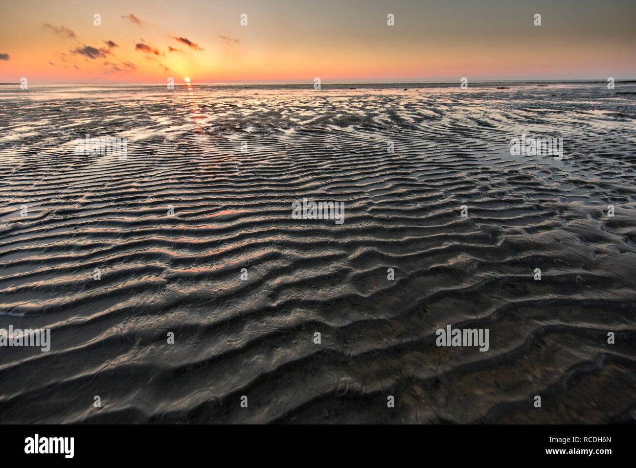 Mudflat del mare di Wadden. UNESCO - Sito Patrimonio dell'umanità. La bassa marea. Sunrise. Midsland, Paesi Bassi. Foto Stock