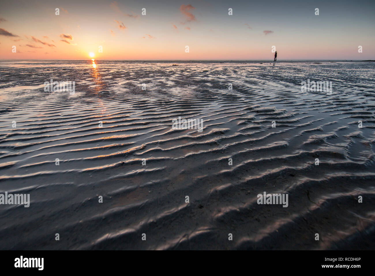 Mudflat del mare di Wadden. UNESCO - Sito Patrimonio dell'umanità. La bassa marea. Sunrise. Escursionista. Midsland, Paesi Bassi. Foto Stock