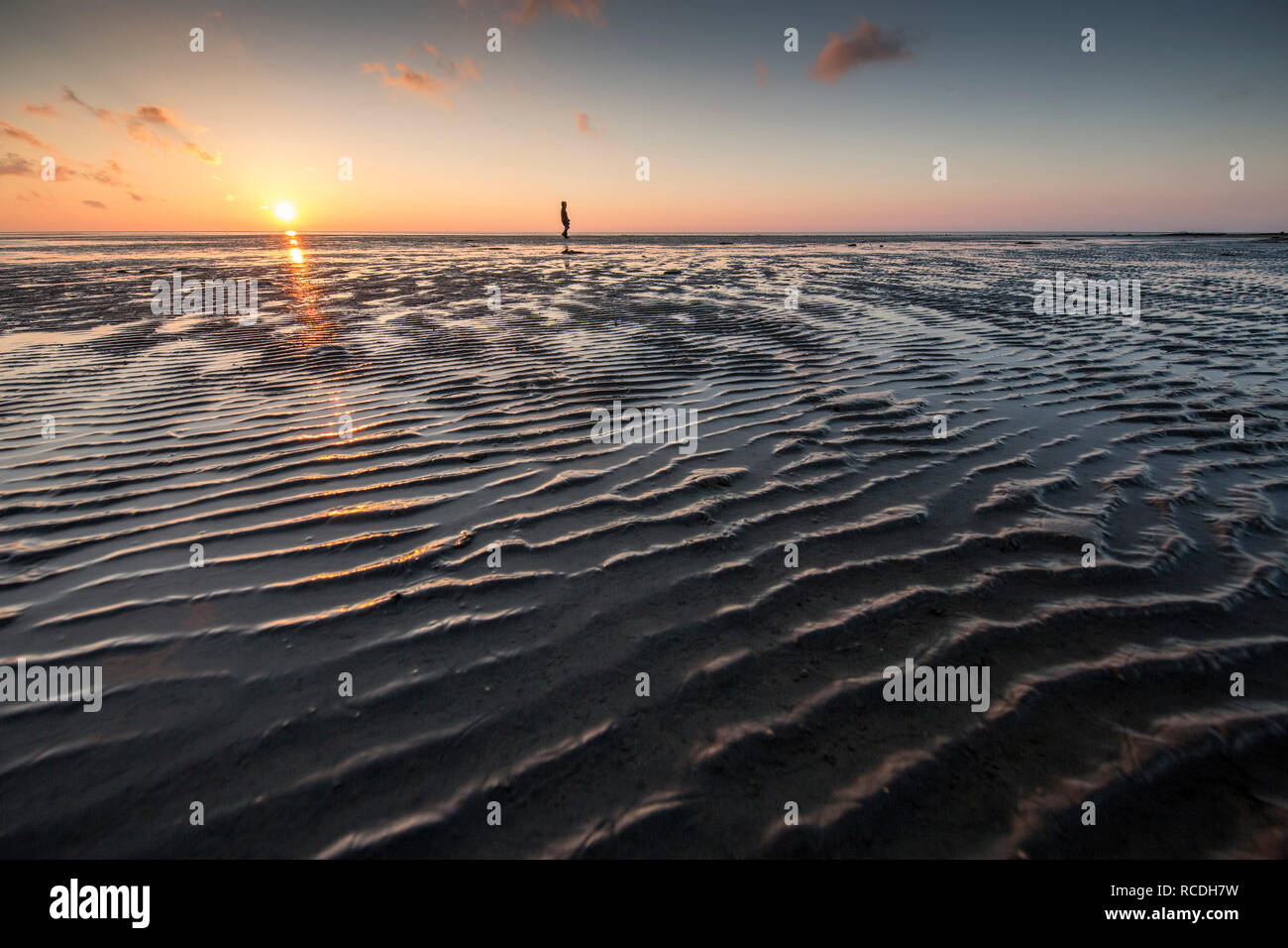 Mudflat del mare di Wadden. UNESCO - Sito Patrimonio dell'umanità. La bassa marea. Sunrise. Escursionista. Midsland, Paesi Bassi. Foto Stock