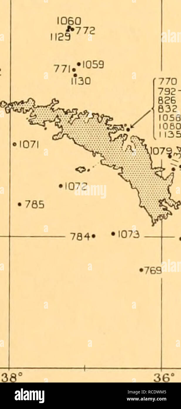. Rapporti di ricerca. Discovery (nave); spedizioni scientifiche; Ocean; Antartide; Isole Falkland. 1 Georg-ia 40* 20-W 20°e 40° 38° 36° 34° W 55 1062 774".|I27 . 1061 . 773ii^8 1060 1129 ' "^ .1082 ,066 ,0,67 '068 ^^^ 789 '^^ • ,070 GEORGIA DEL SUD 40°. 770 792-ho un SB 632 ,058 IOBO-61 {°[?.^ ?.,076{l°f. "?".,Bo ' ' ^--jg^' '762 78, ,076 1,36 • MI07S 1074- 34°W -53 S -55. Si prega di notare che queste immagini vengono estratte dalla pagina sottoposta a scansione di immagini che possono essere state migliorate digitalmente per la leggibilità - Colorazione e aspetto di queste illustrazioni possono non assomigliare perfettamente l'originale wor Foto Stock