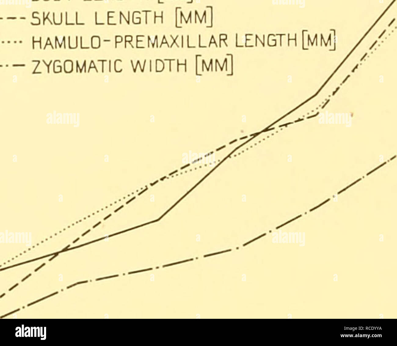 . Rapporti di ricerca. Discovery (nave); spedizioni scientifiche; Ocean; Antartide; Isole Falkland. 288 relazioni di rilevamento larghezza IOI-6 mm., 54-5 per cento del cranio lunghezza; hamulo-premaxillar lunghezza 114 mm. 61-2 della lunghezza totale. Vi è molto poca differenza dal cranio maschio della stessa età 15T Z70 ad eccezione di dimensioni più piccole e più insignificante di sviluppo pre-Regione orbitale. La linea temporale è circa il livello con il post- processi orbitale e tutto il cranio è liscia e arrotondata. Tutti i denti permanenti sono presenti, ma i canini permanenti mostrano poco sopra la gengiva un Foto Stock