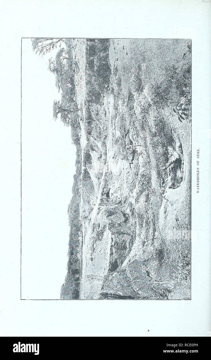 . La scoperta di laghi Rudolf e Stefanie : un racconto di Samuel Conteggio Talaki di esplorazione. . Si prega di notare che queste immagini vengono estratte dalla pagina sottoposta a scansione di immagini che possono essere state migliorate digitalmente per la leggibilità - Colorazione e aspetto di queste illustrazioni potrebbero non perfettamente assomigliano al lavoro originale. Höhnel, Ludwig, Ritter von. Londra : Longmans, verde & Co Foto Stock